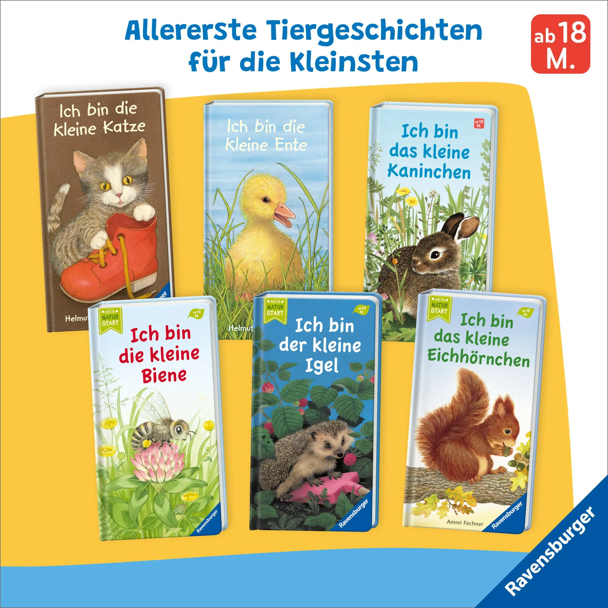 Bild: 9783473418435 | Ich bin der kleine Igel | Gisela Stottele | Buch | Naturstart | 16 S.