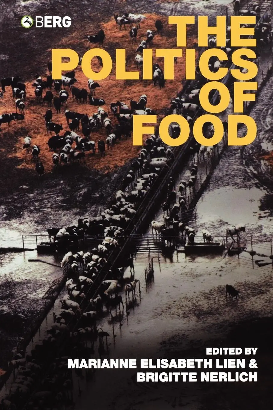 Cover: 9781859738535 | The Politics of Food | Marianne E. Lien (u. a.) | Taschenbuch | 2004