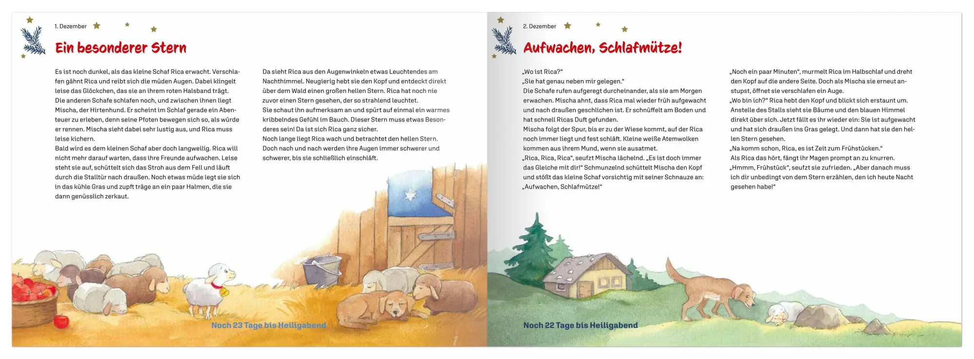 Bild: 9783780618535 | Rica und der geheimnisvolle Stern | Katharina Wilhelm | Buch | 32 S.
