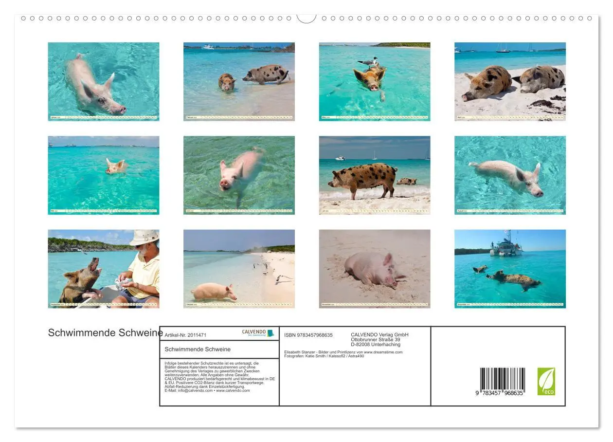 Bild: 9783457968635 | Schwimmende Schweine (hochwertiger Premium Wandkalender 2026 DIN A2...