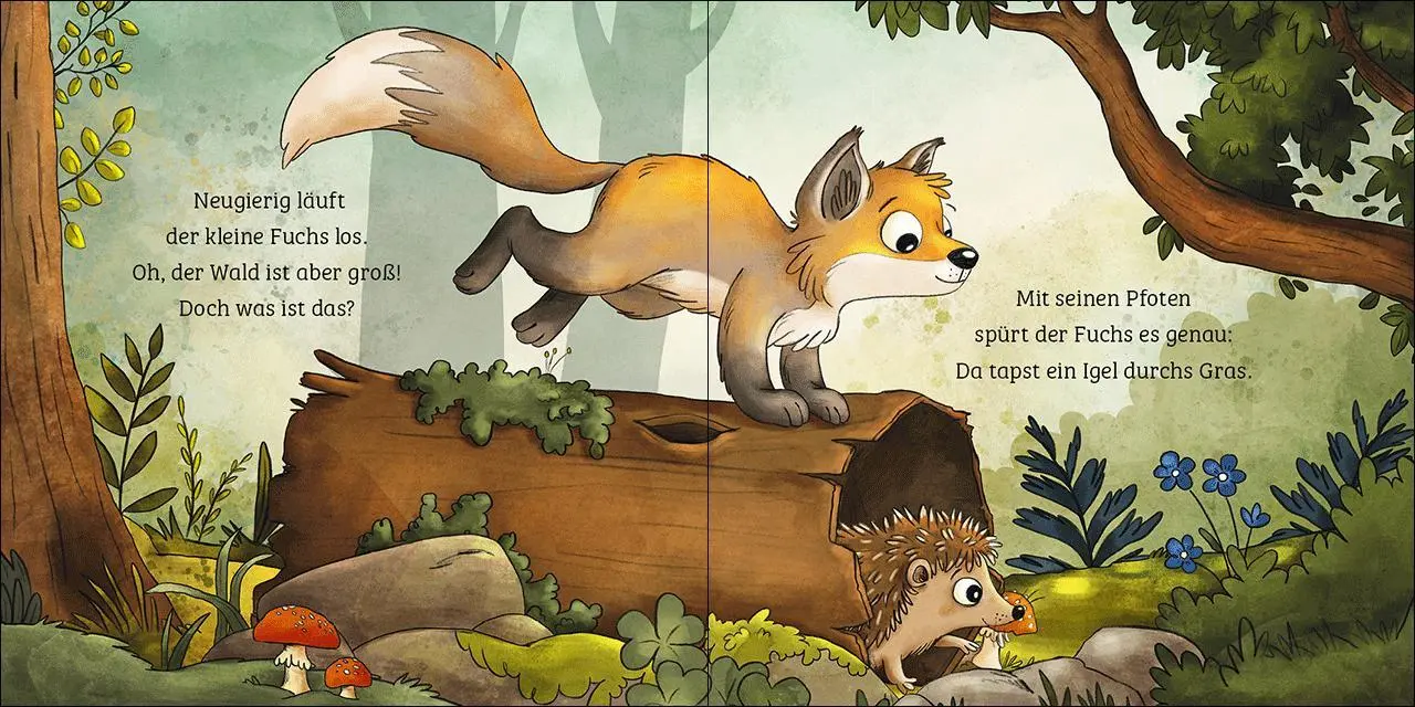 Bild: 9783743218635 | Mein erstes Naturbuch - Der Fuchs | Sandra Grimm | Buch | Naturkind