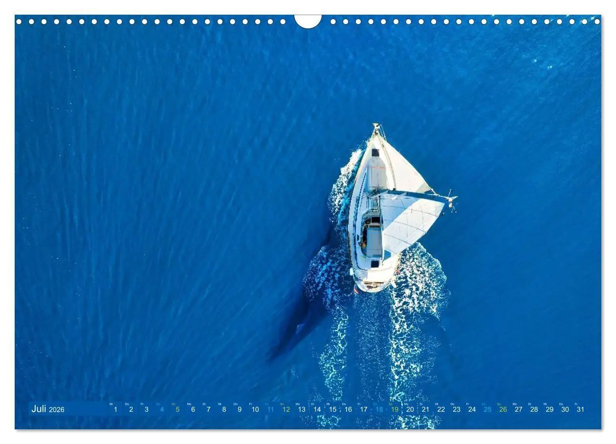 Bild: 9783516738735 | SEGELN - unterwegs mit dem Wind (Wandkalender 2026 DIN A3 quer),...