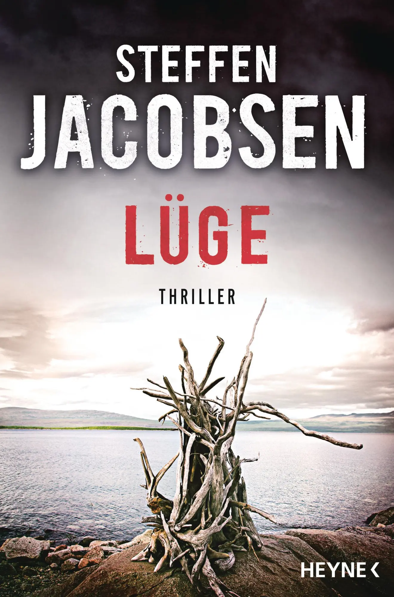 Cover: 9783453438835 | Lüge | Steffen Jacobsen | Taschenbuch | 480 S. | Deutsch | 2017