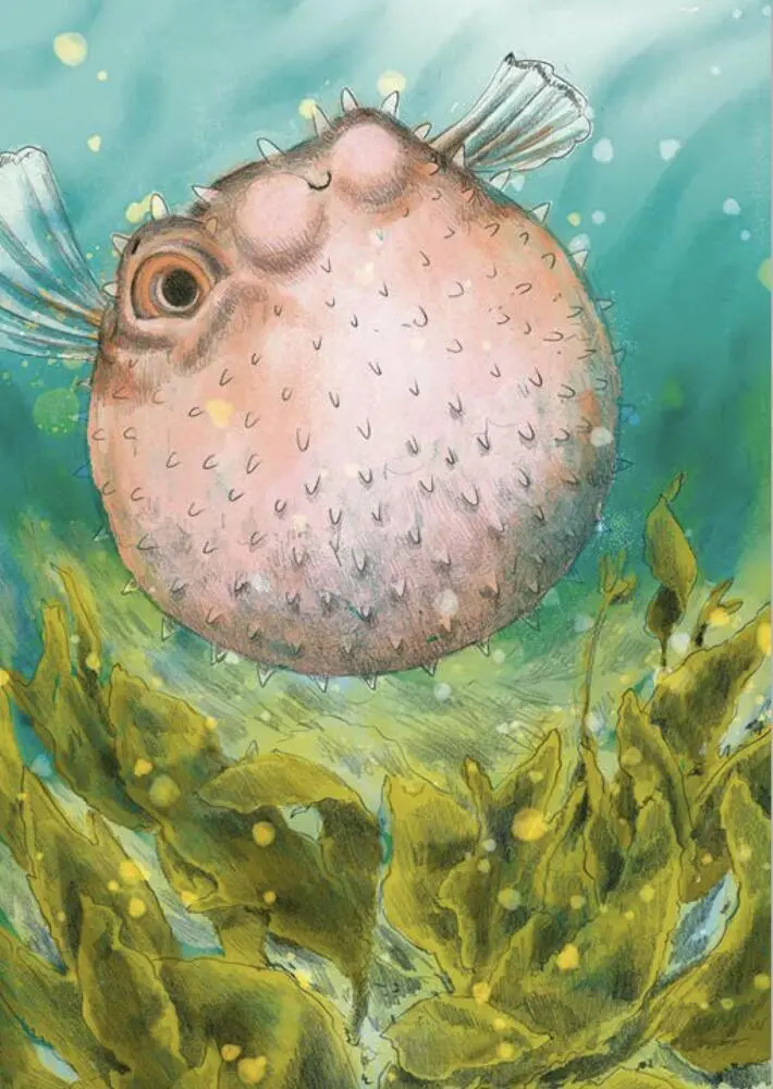 Bild: 9783961858835 | Wunderwelt der Tiere im Meer - Gelesen von Jakob Graf | Chae Strathie