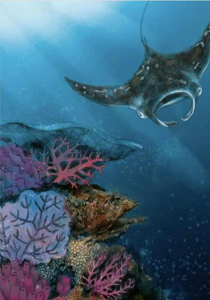 Bild: 9783961858835 | Wunderwelt der Tiere im Meer - Gelesen von Jakob Graf | Chae Strathie