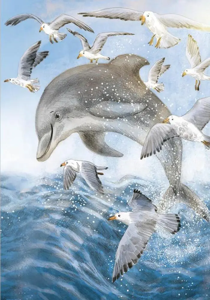 Bild: 9783961858835 | Wunderwelt der Tiere im Meer - Gelesen von Jakob Graf | Chae Strathie