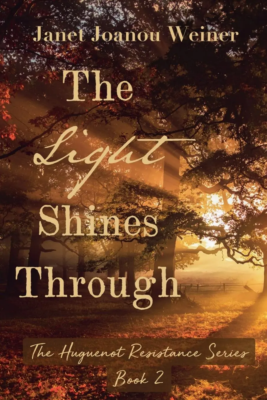 Cover: 9798985278835 | The Light Shines Through | Janet Joanou Weiner | Taschenbuch | 2024