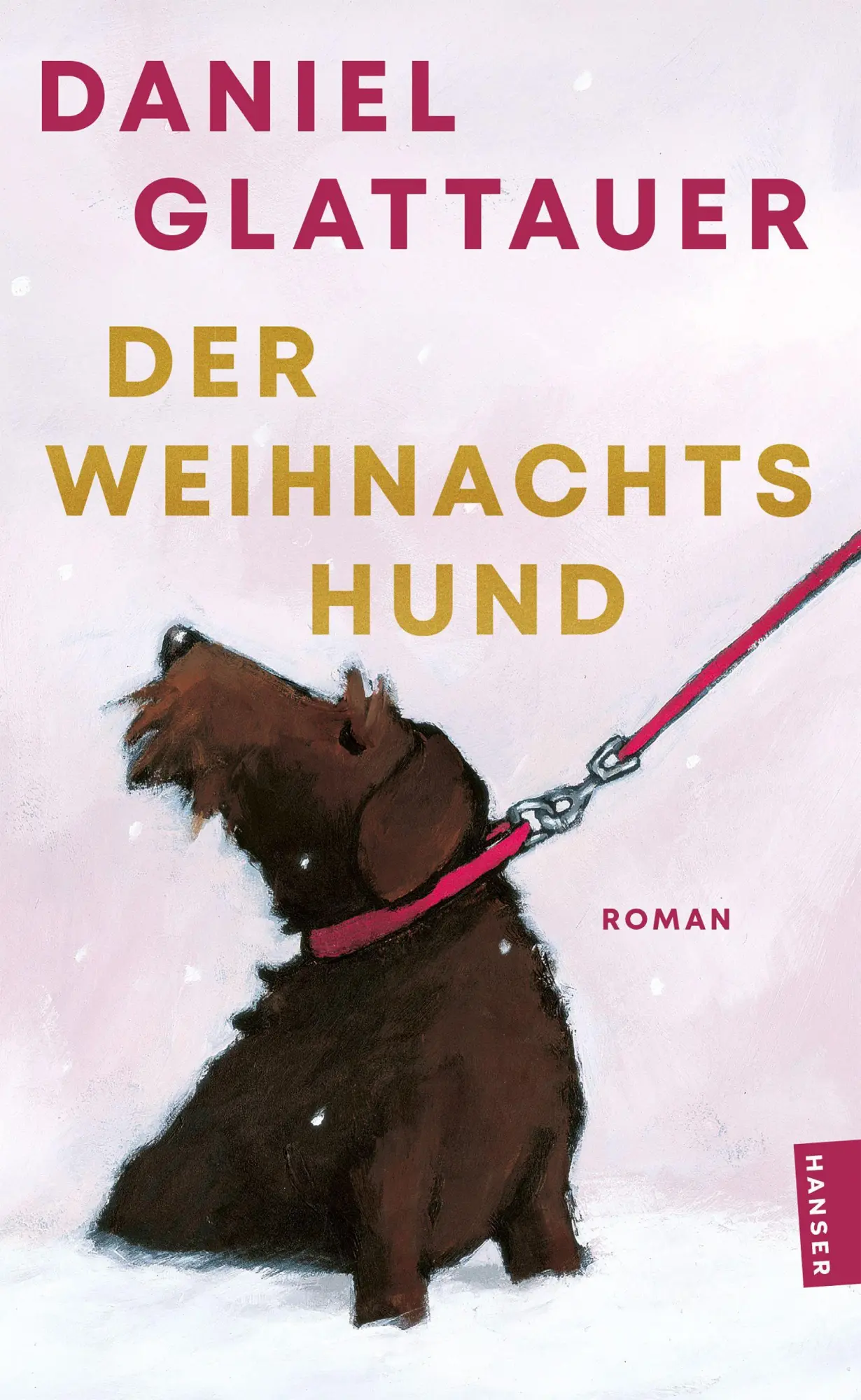 Cover: 9783446288935 | Der Weihnachtshund | Roman | Daniel Glattauer | Taschenbuch | 208 S.