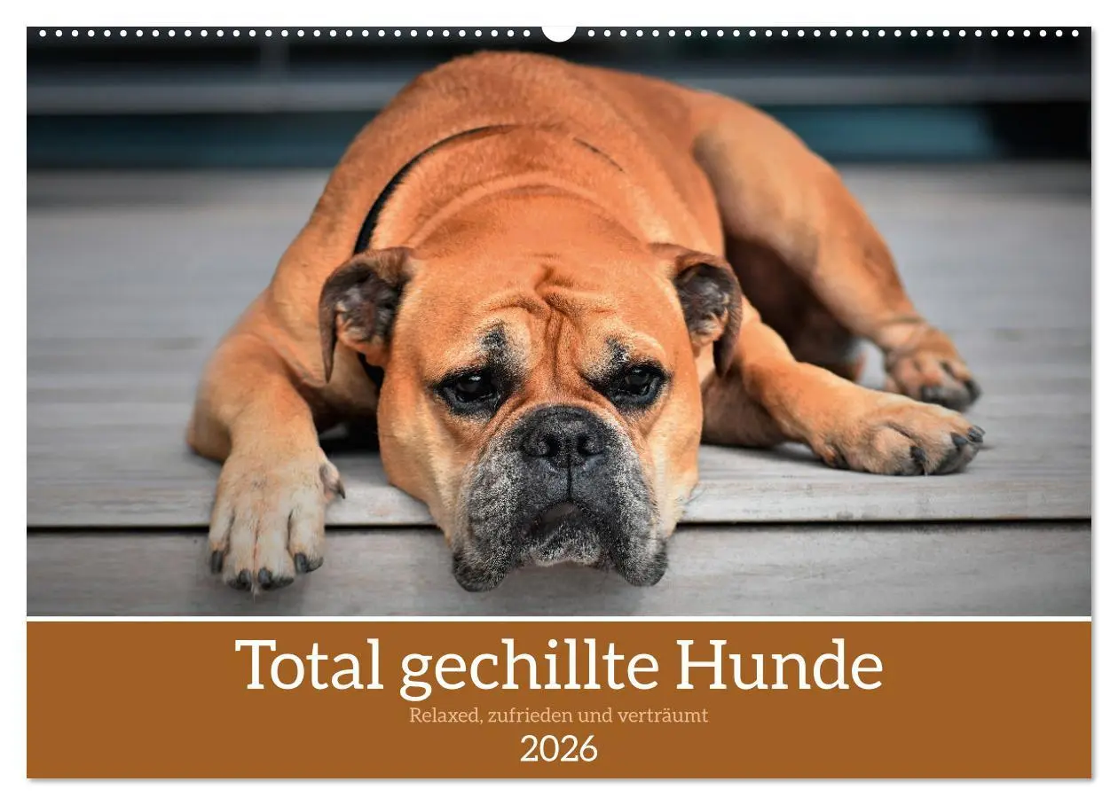 Cover: 9783457318935 | Total gechillte Hunde (Wandkalender 2026 DIN A2 quer), CALVENDO...
