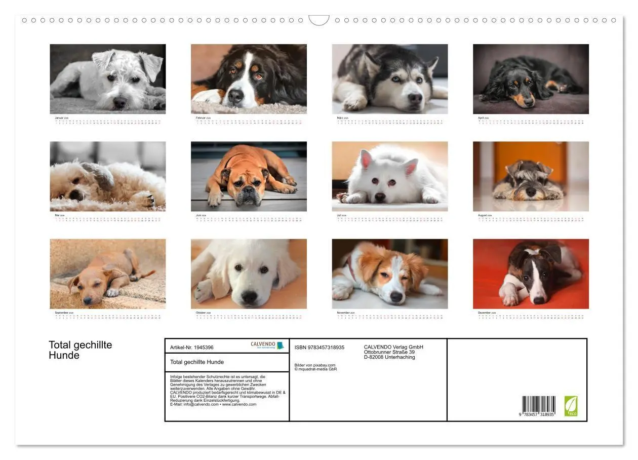 Bild: 9783457318935 | Total gechillte Hunde (Wandkalender 2026 DIN A2 quer), CALVENDO...