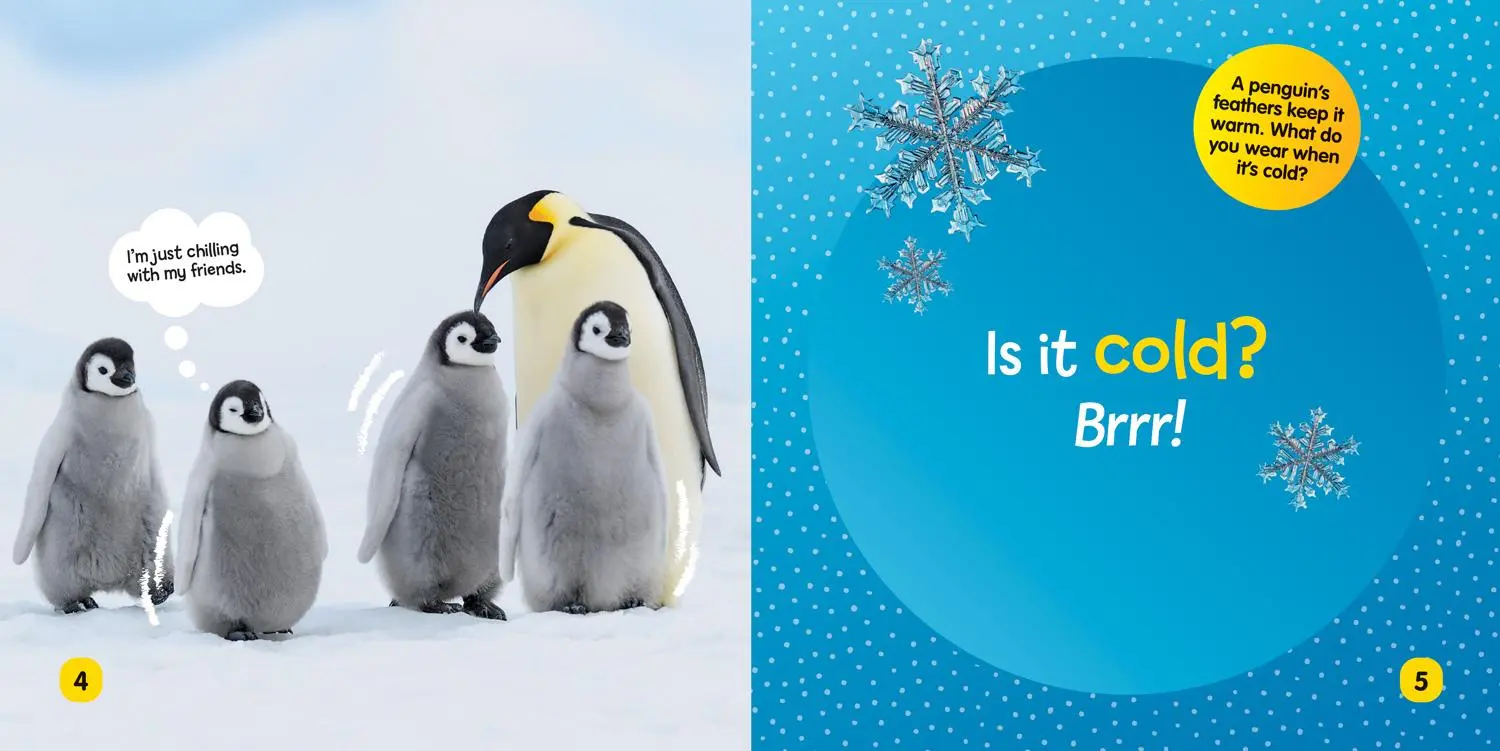 Bild: 9781426339035 | National Geographic Kids Little Kids First Board Book: Weather | Buch