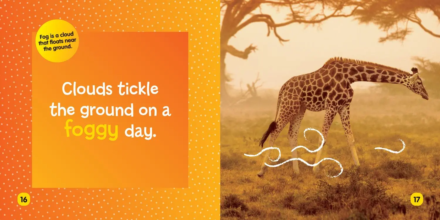 Bild: 9781426339035 | National Geographic Kids Little Kids First Board Book: Weather | Buch