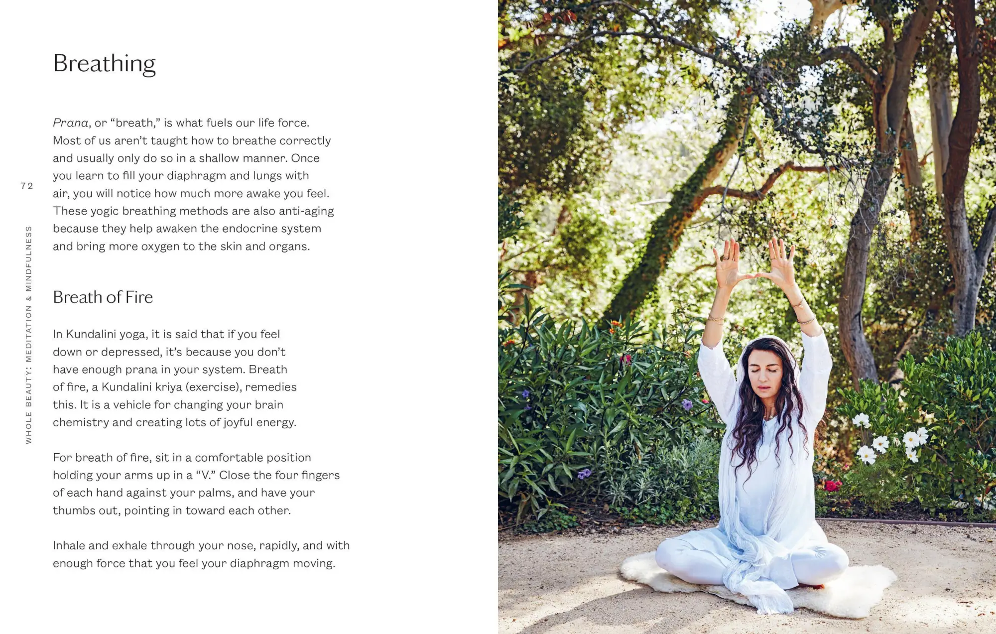 Bild: 9781579659035 | Whole Beauty: Meditation &amp; Mindfulness | Shiva Rose | Buch | Gebunden