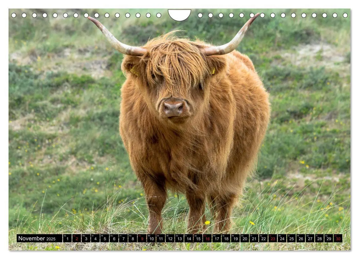 Bild: 9783435279135 | Egmond aan Zee - Natürlich (Wandkalender 2025 DIN A4 quer),...