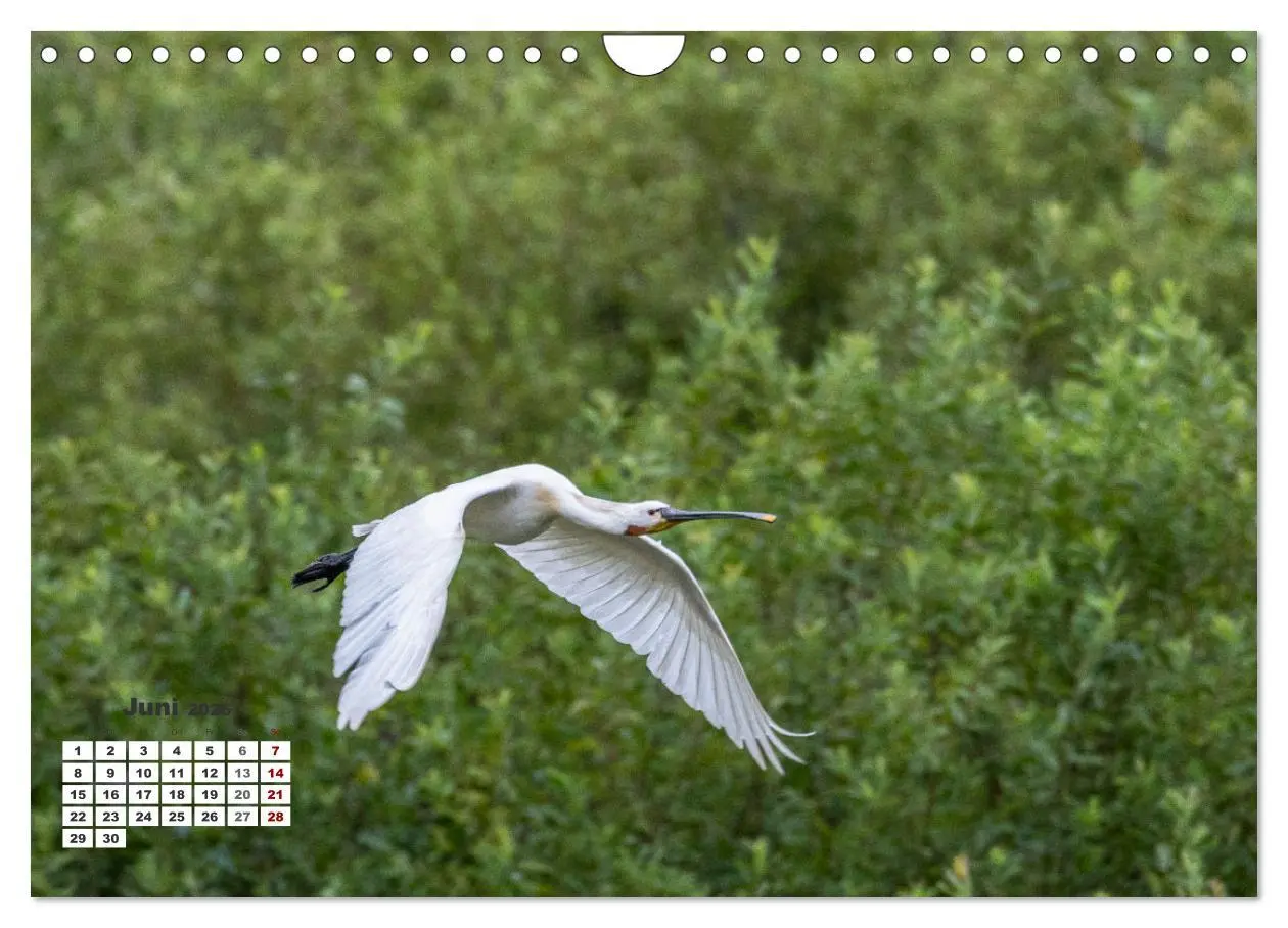 Bild: 9783457369135 | Kroatien - Entlang der Save (Wandkalender 2026 DIN A4 quer),...