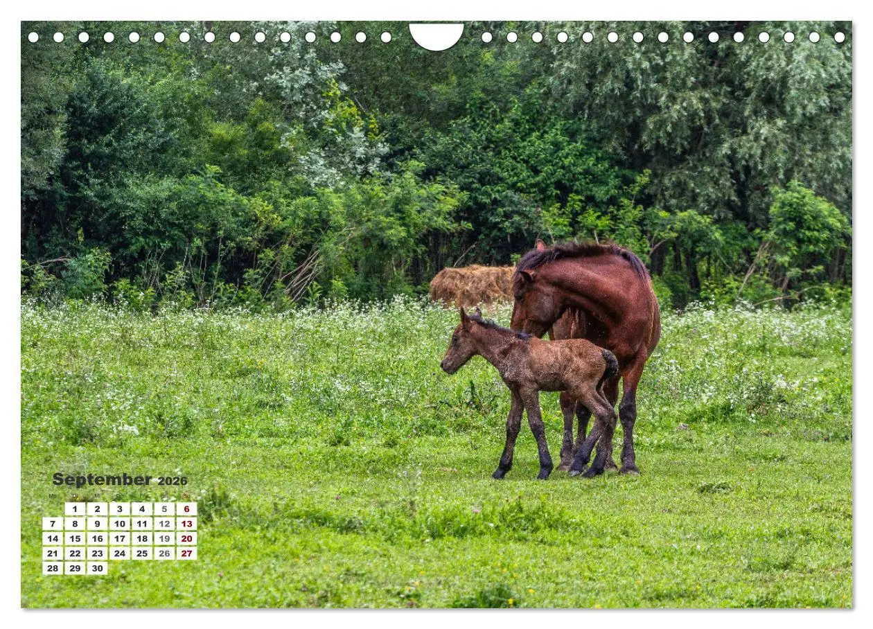 Bild: 9783457369135 | Kroatien - Entlang der Save (Wandkalender 2026 DIN A4 quer),...