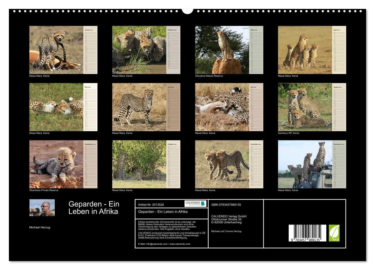 Bild: 9783457989135 | Geparden - Ein Leben in Afrika (hochwertiger Premium Wandkalender...