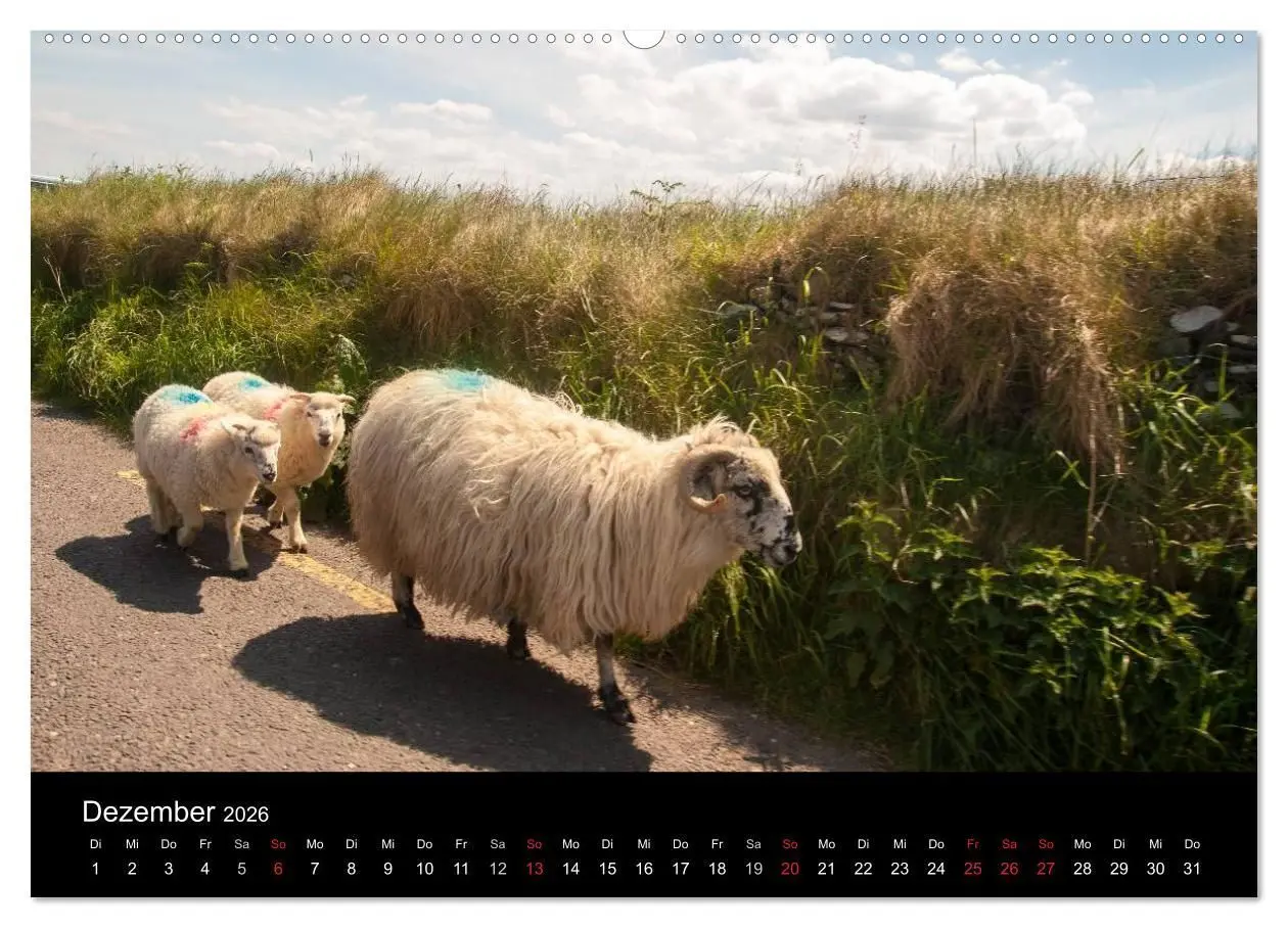Bild: 9783516149135 | Unterwegs in Irland (Wandkalender 2026 DIN A2 quer), CALVENDO...
