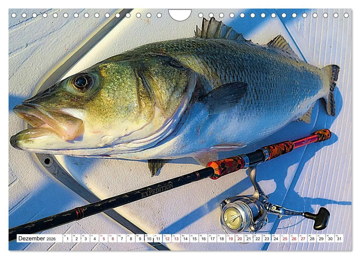 Bild: 9783457599235 | Anglerglück - den Fisch am Haken (Wandkalender 2026 DIN A4 quer),...