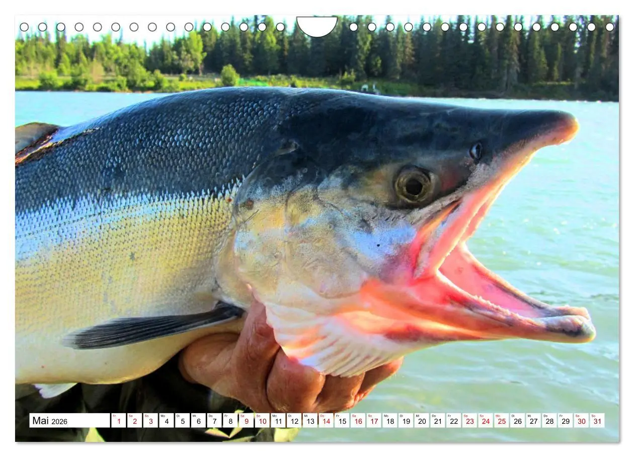 Bild: 9783457599235 | Anglerglück - den Fisch am Haken (Wandkalender 2026 DIN A4 quer),...