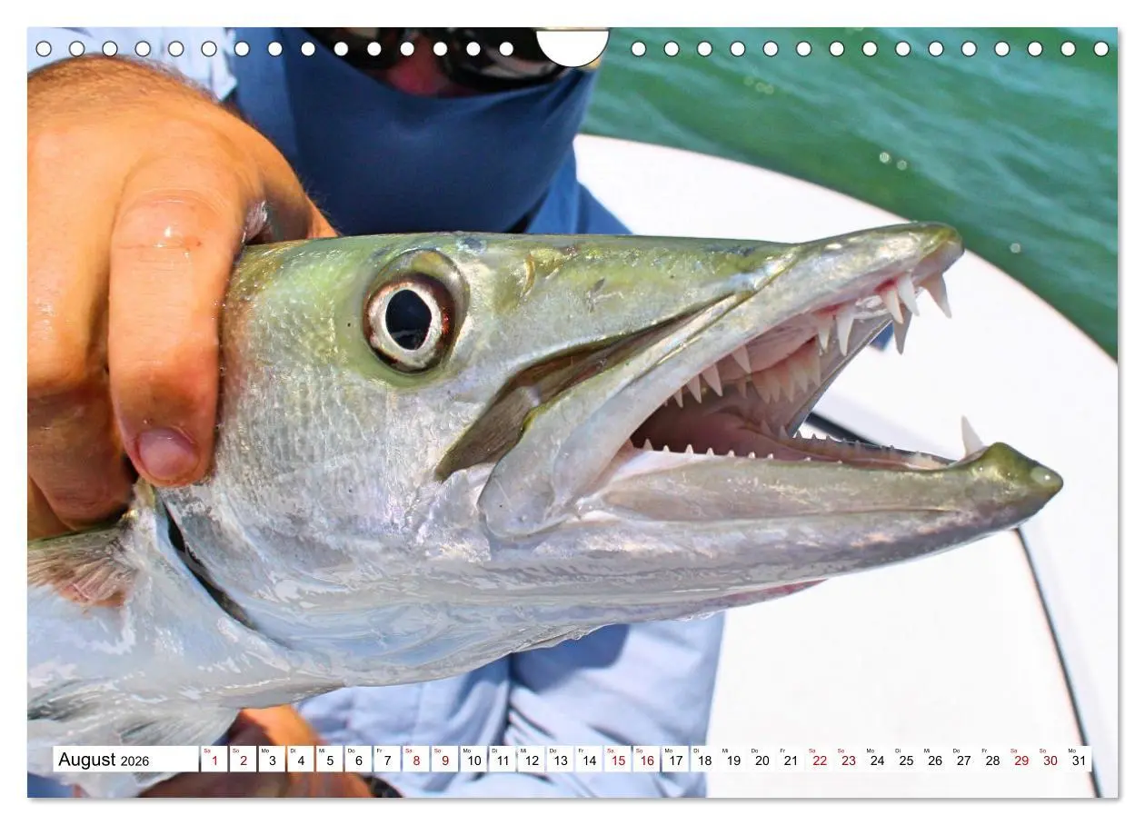 Bild: 9783457599235 | Anglerglück - den Fisch am Haken (Wandkalender 2026 DIN A4 quer),...