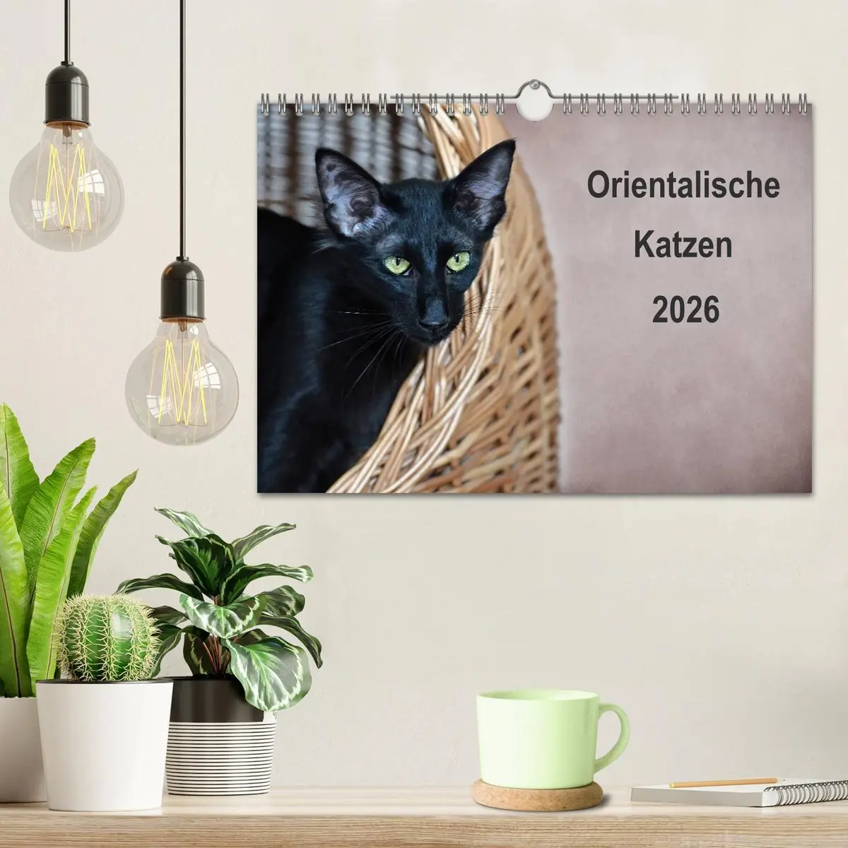 Bild: 9783516139235 | Orientalische Katzen (Wandkalender 2026 DIN A4 quer), CALVENDO...
