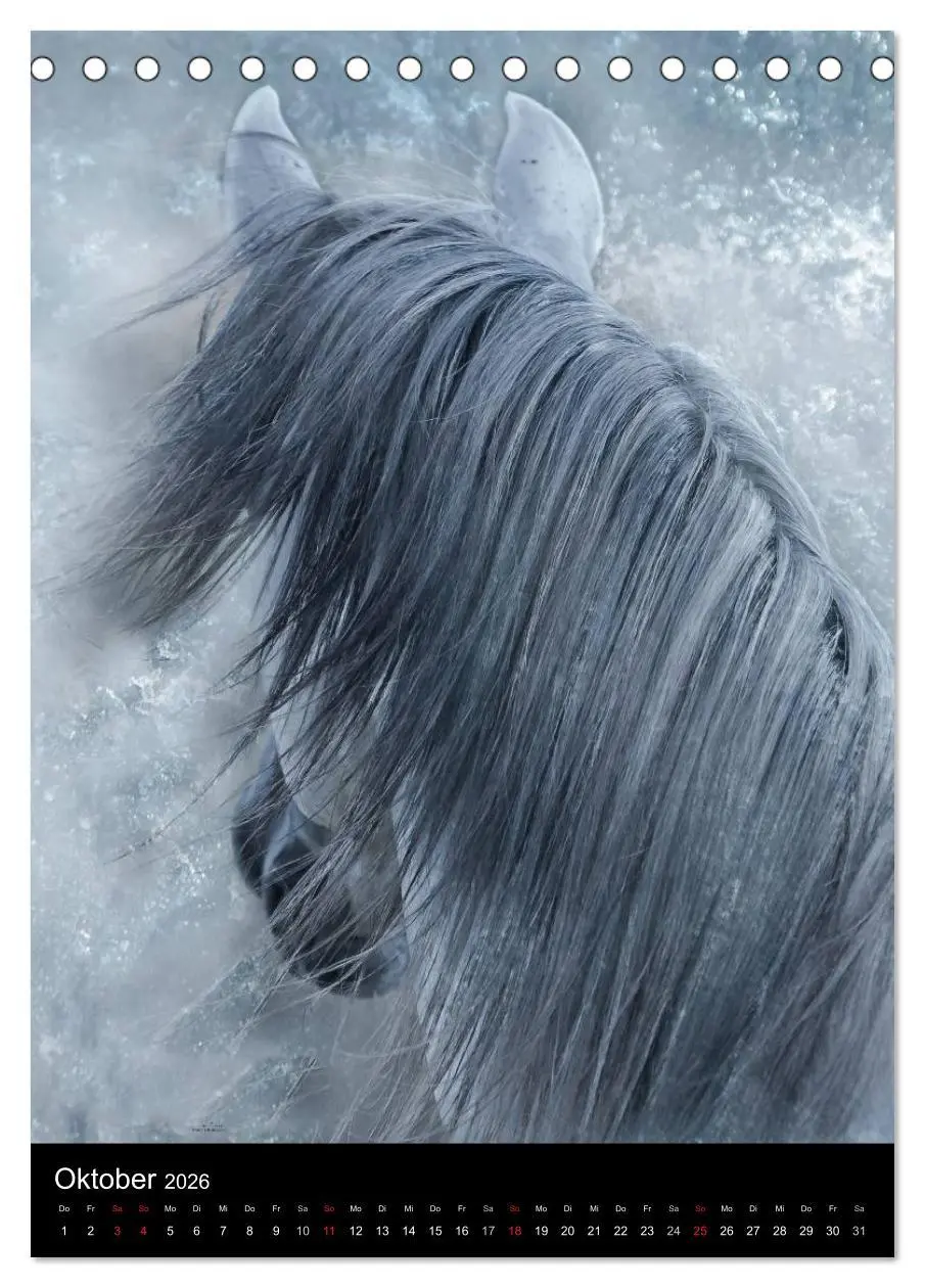 Bild: 9783516449235 | Mystische Pferde (Tischkalender 2026 DIN A5 hoch), CALVENDO...