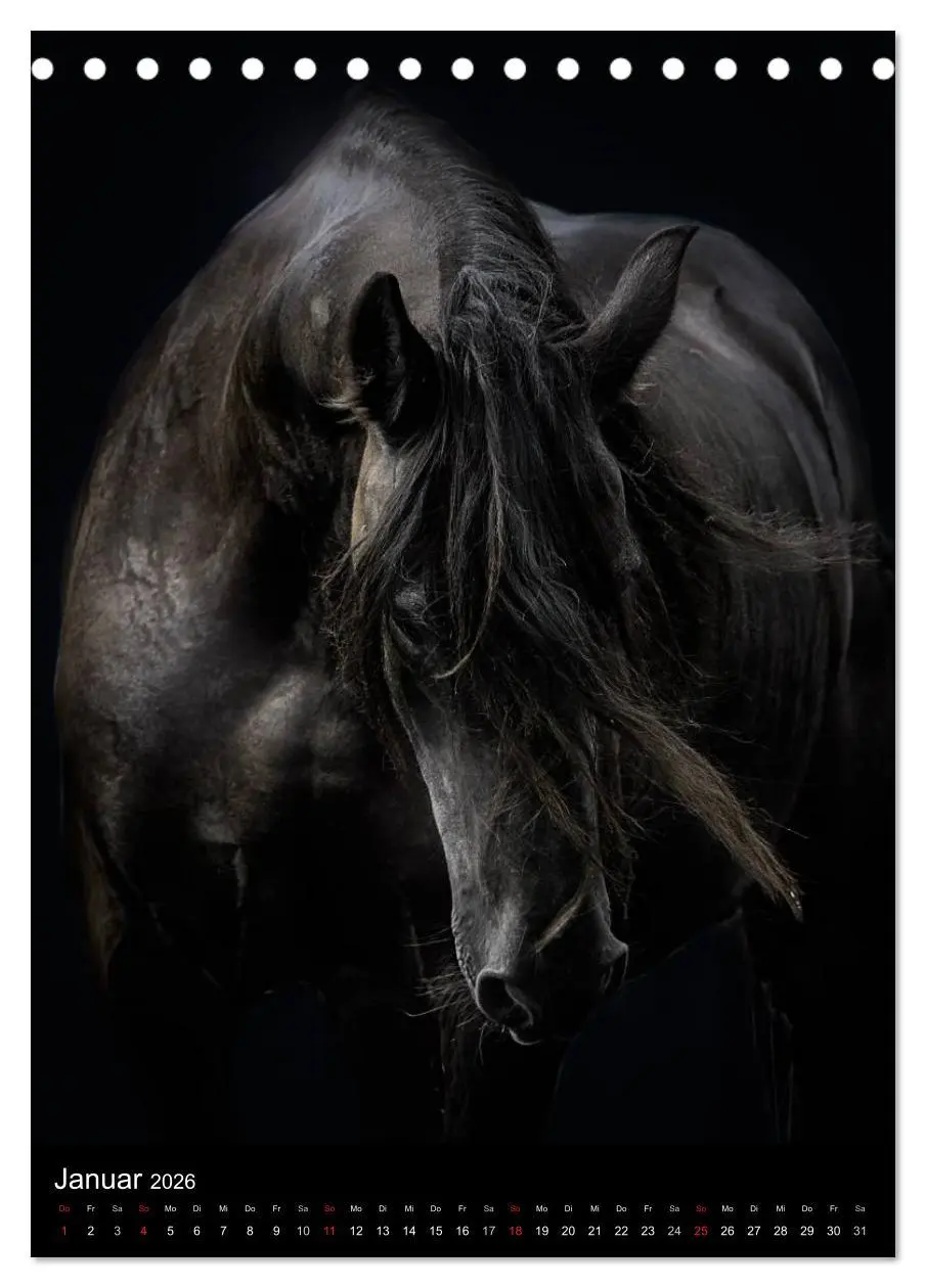 Bild: 9783516449235 | Mystische Pferde (Tischkalender 2026 DIN A5 hoch), CALVENDO...