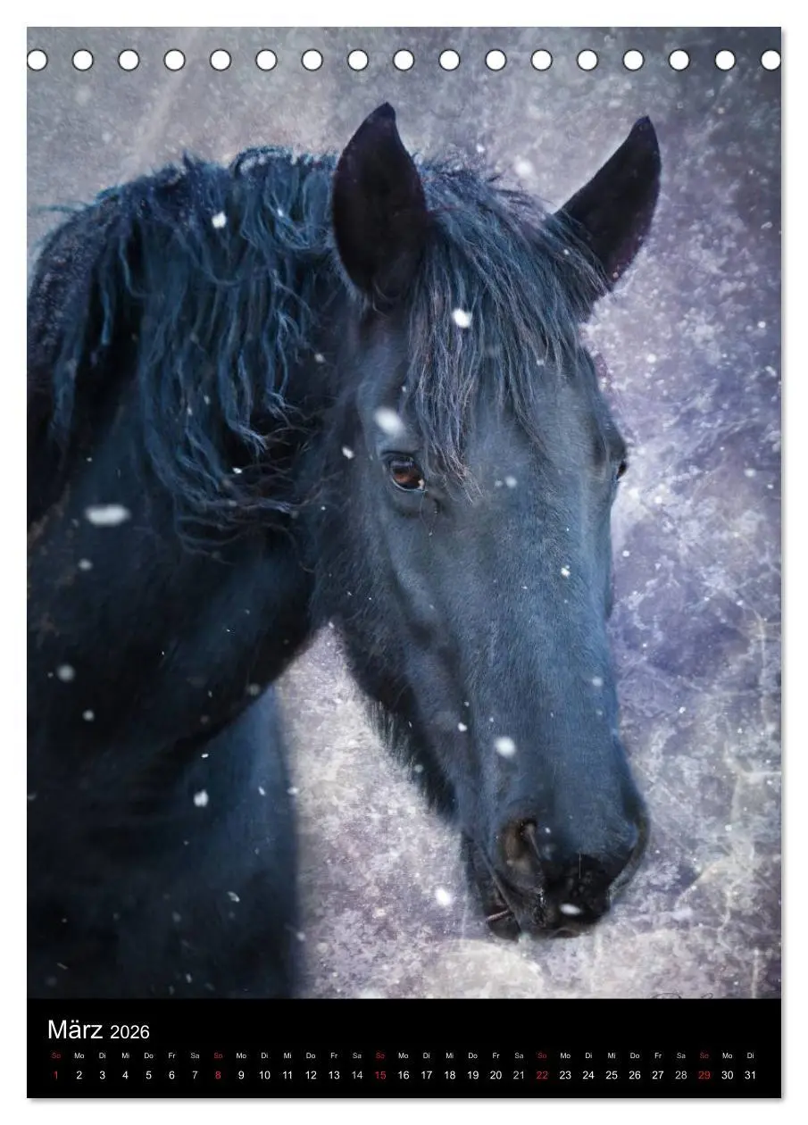 Bild: 9783516449235 | Mystische Pferde (Tischkalender 2026 DIN A5 hoch), CALVENDO...