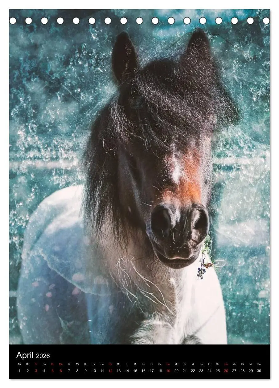 Bild: 9783516449235 | Mystische Pferde (Tischkalender 2026 DIN A5 hoch), CALVENDO...