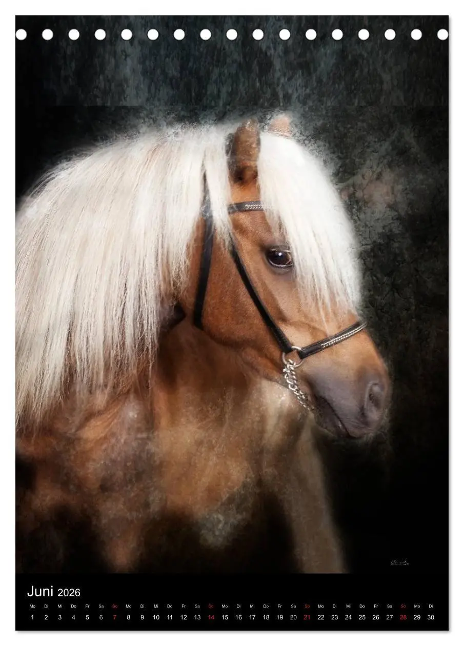 Bild: 9783516449235 | Mystische Pferde (Tischkalender 2026 DIN A5 hoch), CALVENDO...