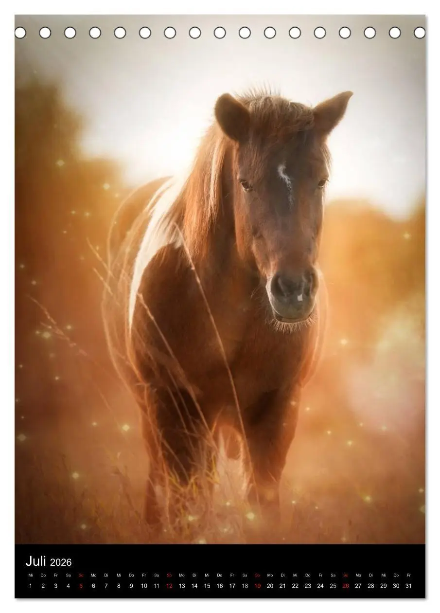Bild: 9783516449235 | Mystische Pferde (Tischkalender 2026 DIN A5 hoch), CALVENDO...
