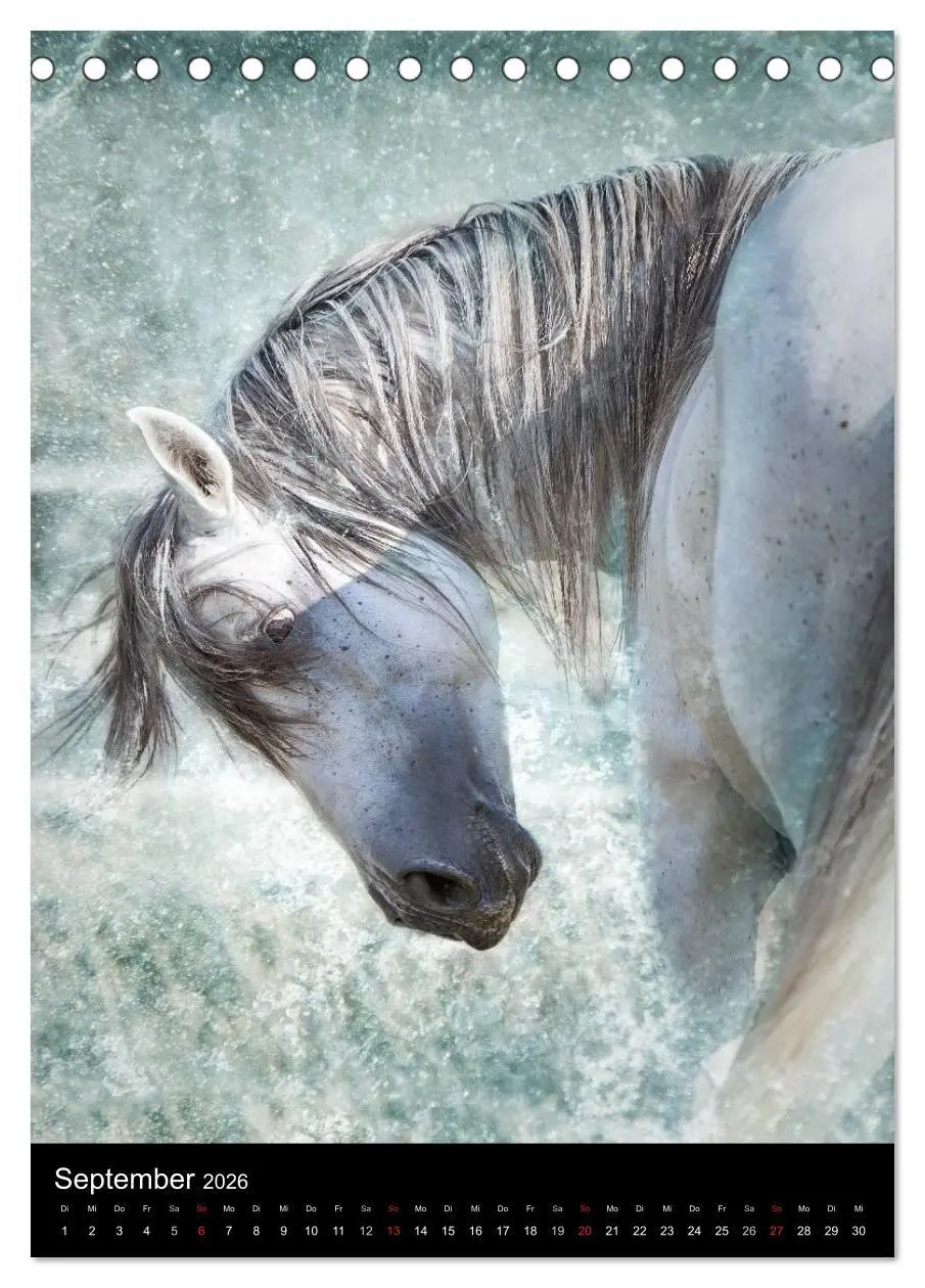 Bild: 9783516449235 | Mystische Pferde (Tischkalender 2026 DIN A5 hoch), CALVENDO...