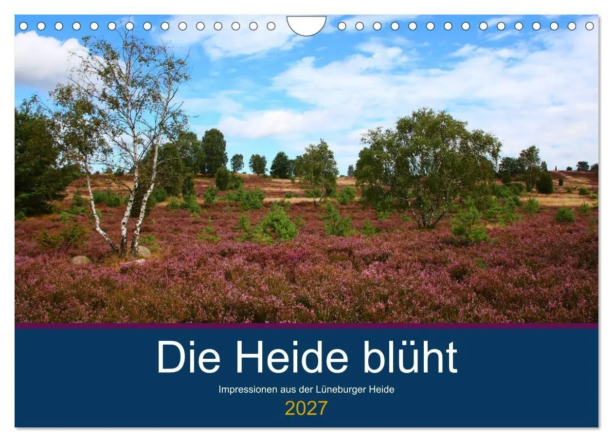 Cover: 9783569849235 | Die Heide blüht (Wandkalender 2027 DIN A4 quer), CALVENDO...