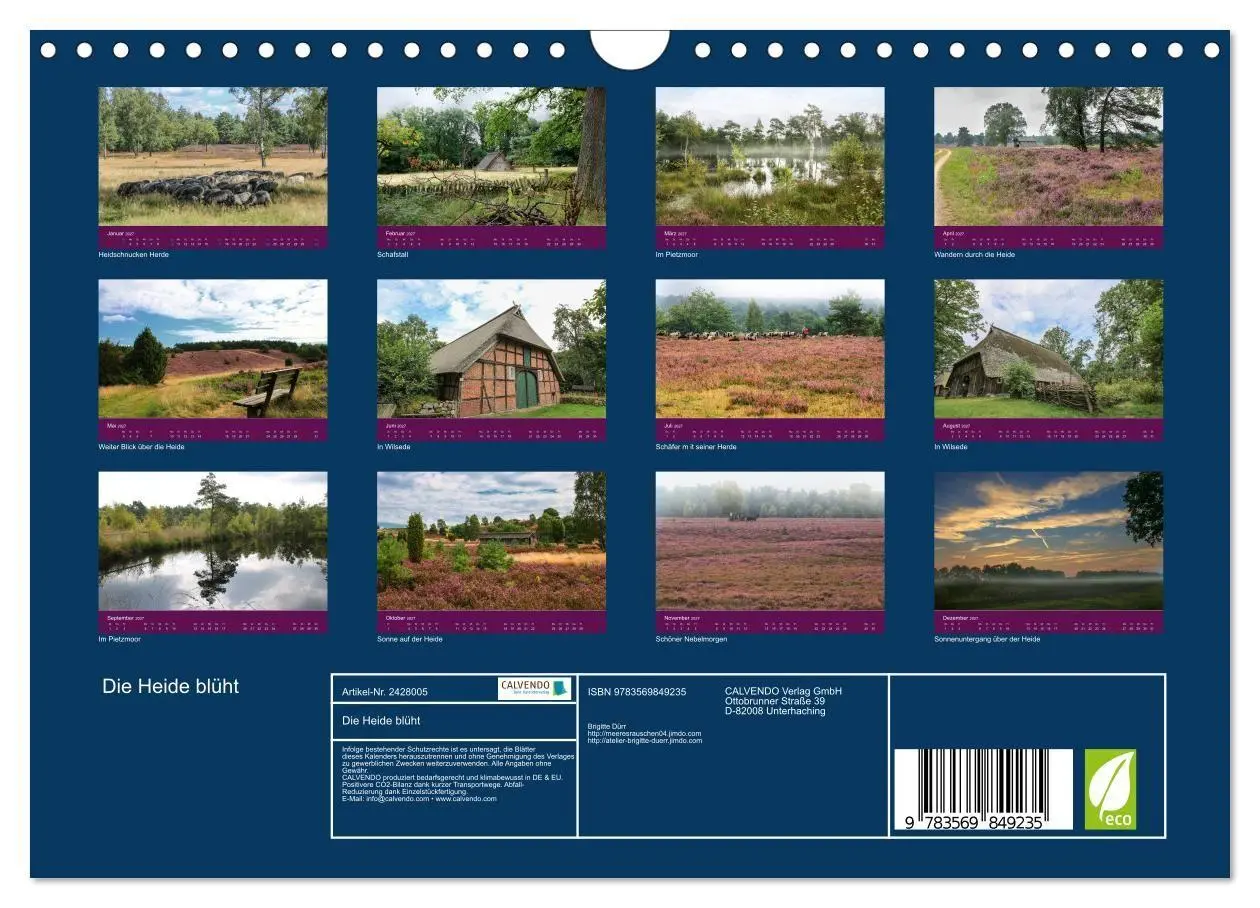 Bild: 9783569849235 | Die Heide blüht (Wandkalender 2027 DIN A4 quer), CALVENDO...