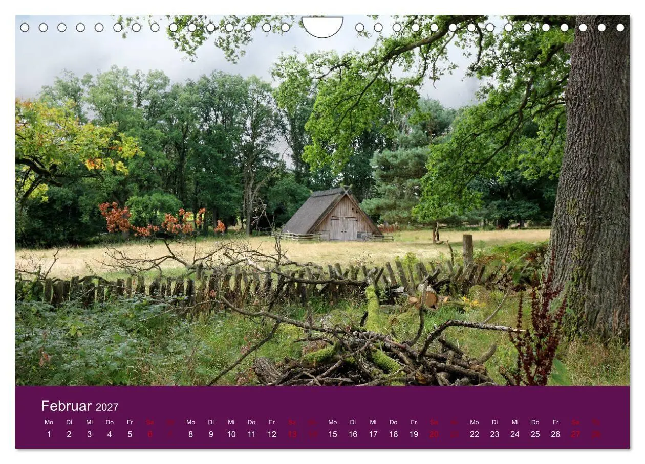 Bild: 9783569849235 | Die Heide blüht (Wandkalender 2027 DIN A4 quer), CALVENDO...