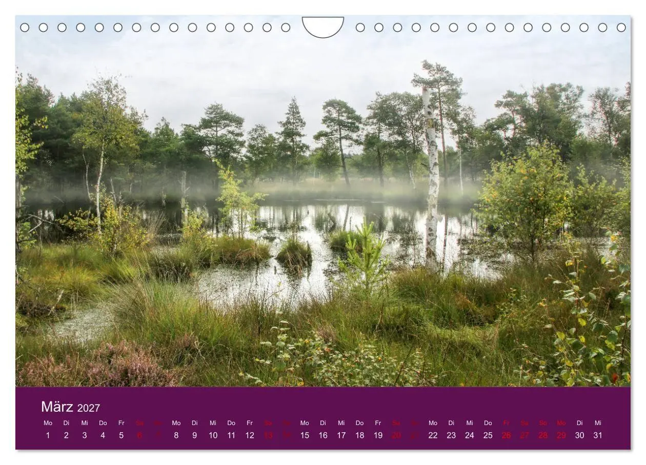 Bild: 9783569849235 | Die Heide blüht (Wandkalender 2027 DIN A4 quer), CALVENDO...