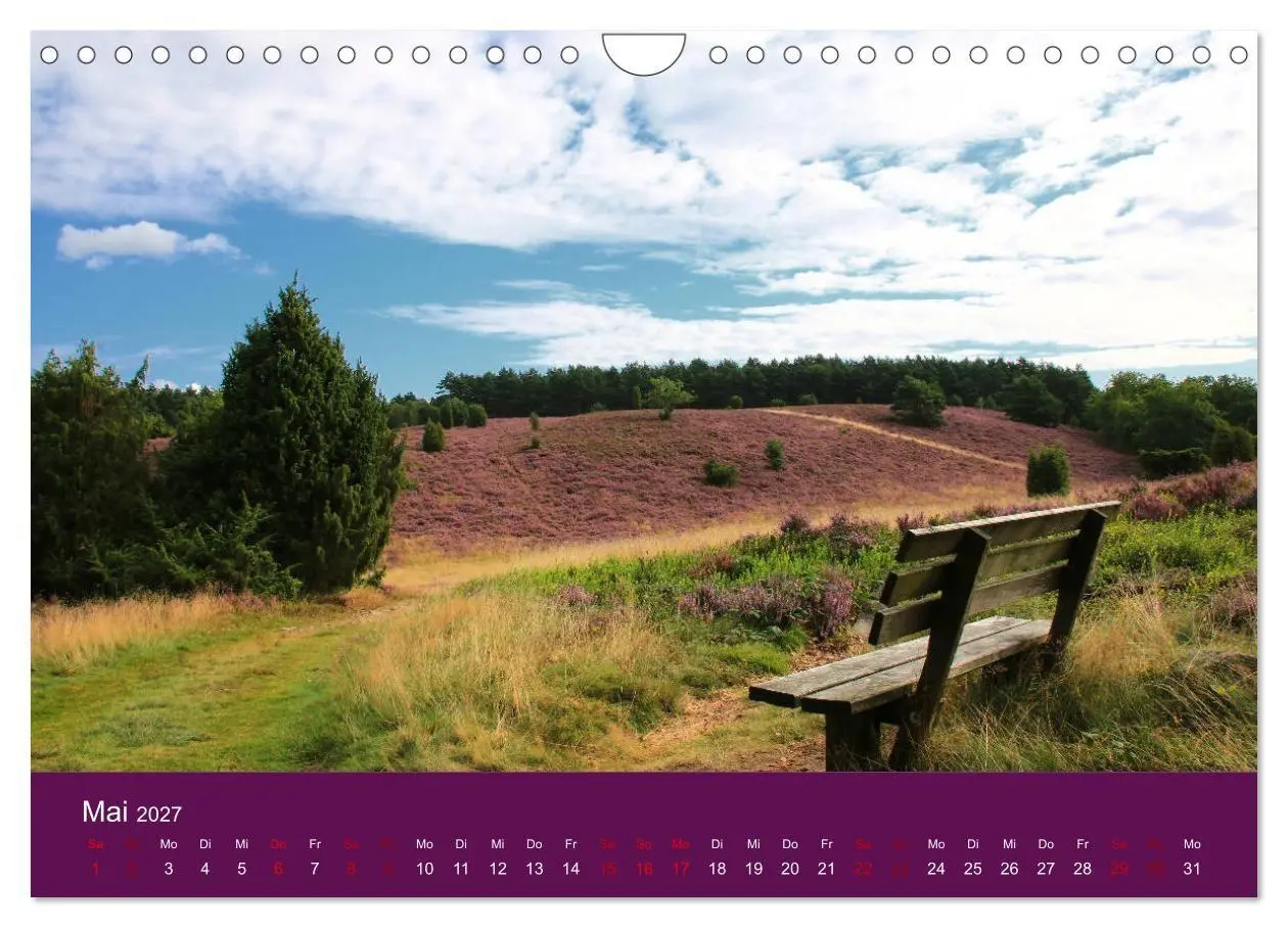 Bild: 9783569849235 | Die Heide blüht (Wandkalender 2027 DIN A4 quer), CALVENDO...