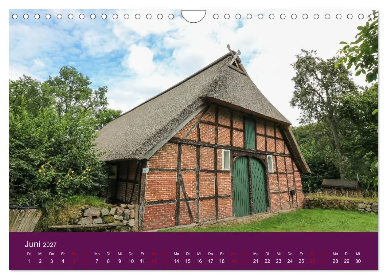 Bild: 9783569849235 | Die Heide blüht (Wandkalender 2027 DIN A4 quer), CALVENDO...