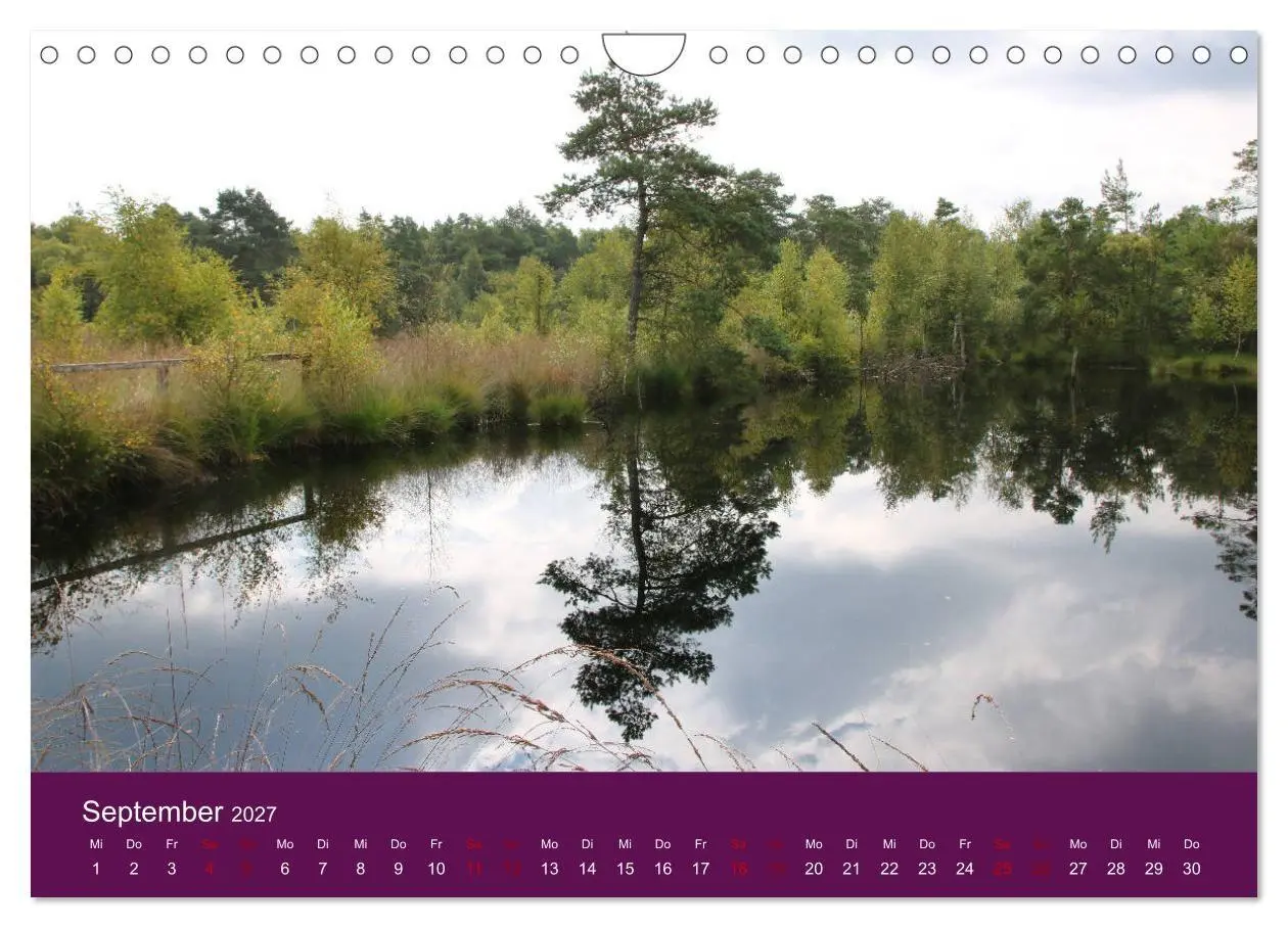 Bild: 9783569849235 | Die Heide blüht (Wandkalender 2027 DIN A4 quer), CALVENDO...