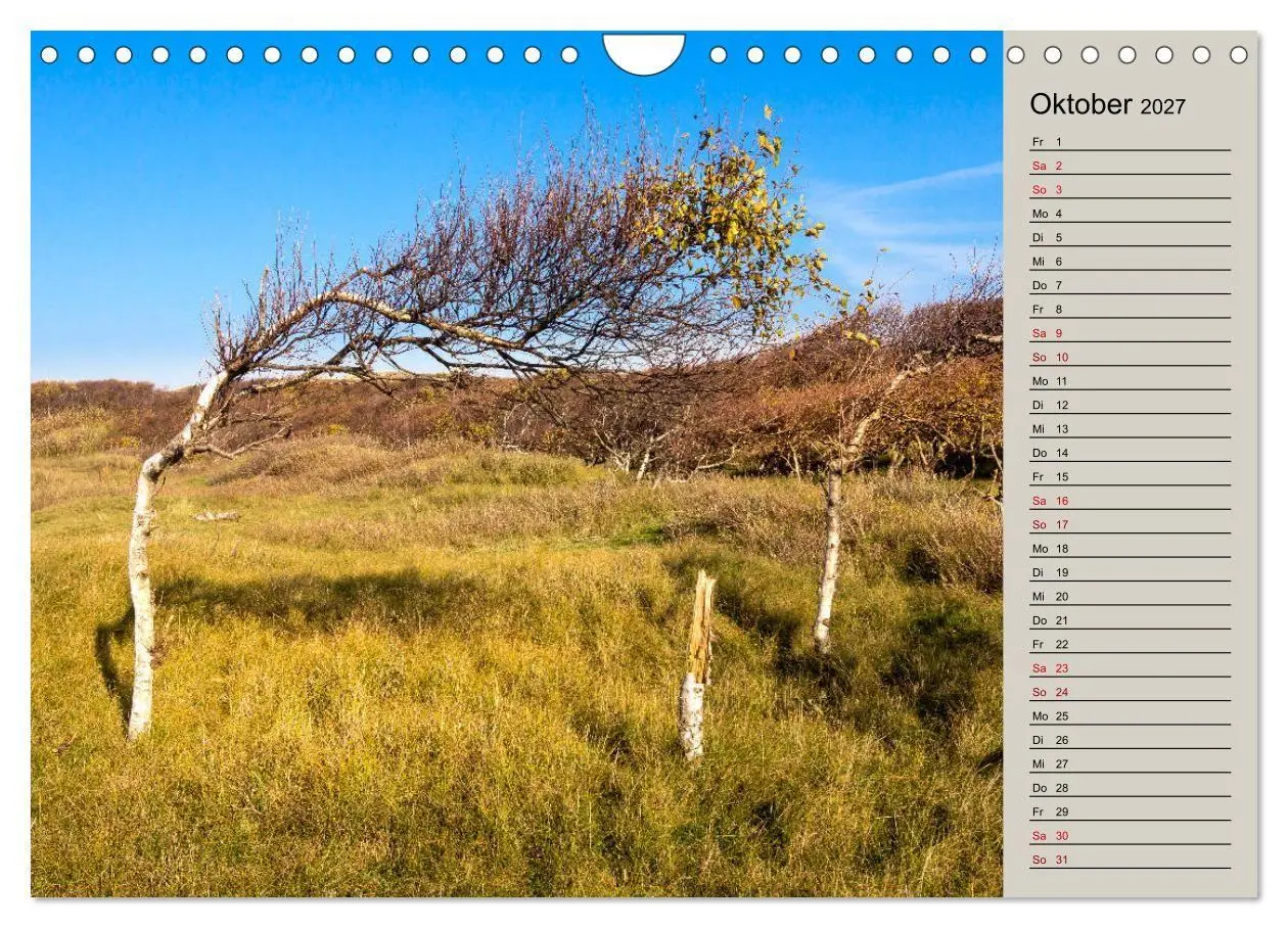 Bild: 9783569769335 | NORDERNEY Geburtstagskalender mit Planerfunktion (Wandkalender 2027...