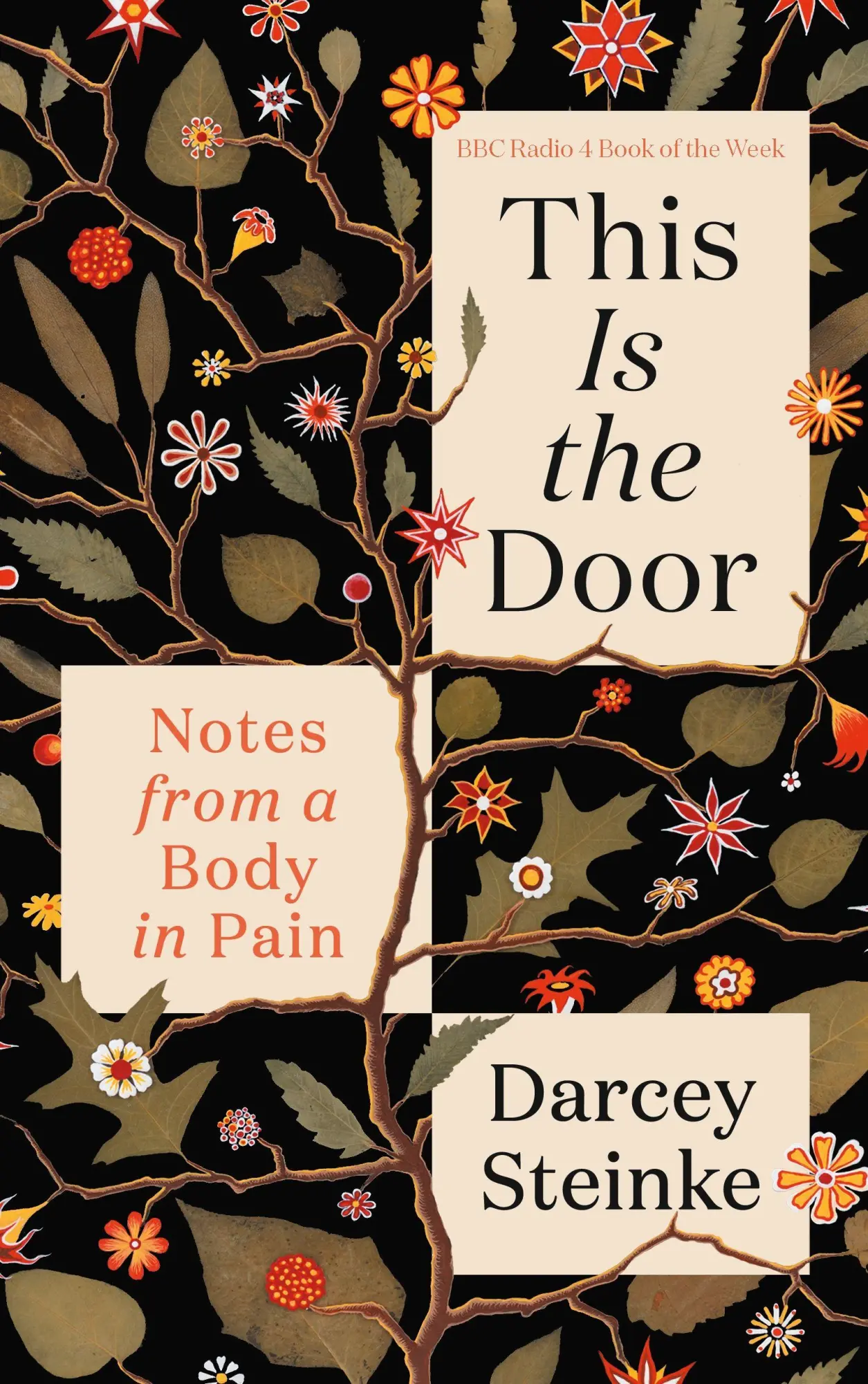 Cover: 9781838859435 | This Is the Door | Notes from a Body in Pain | Darcey Steinke | Buch