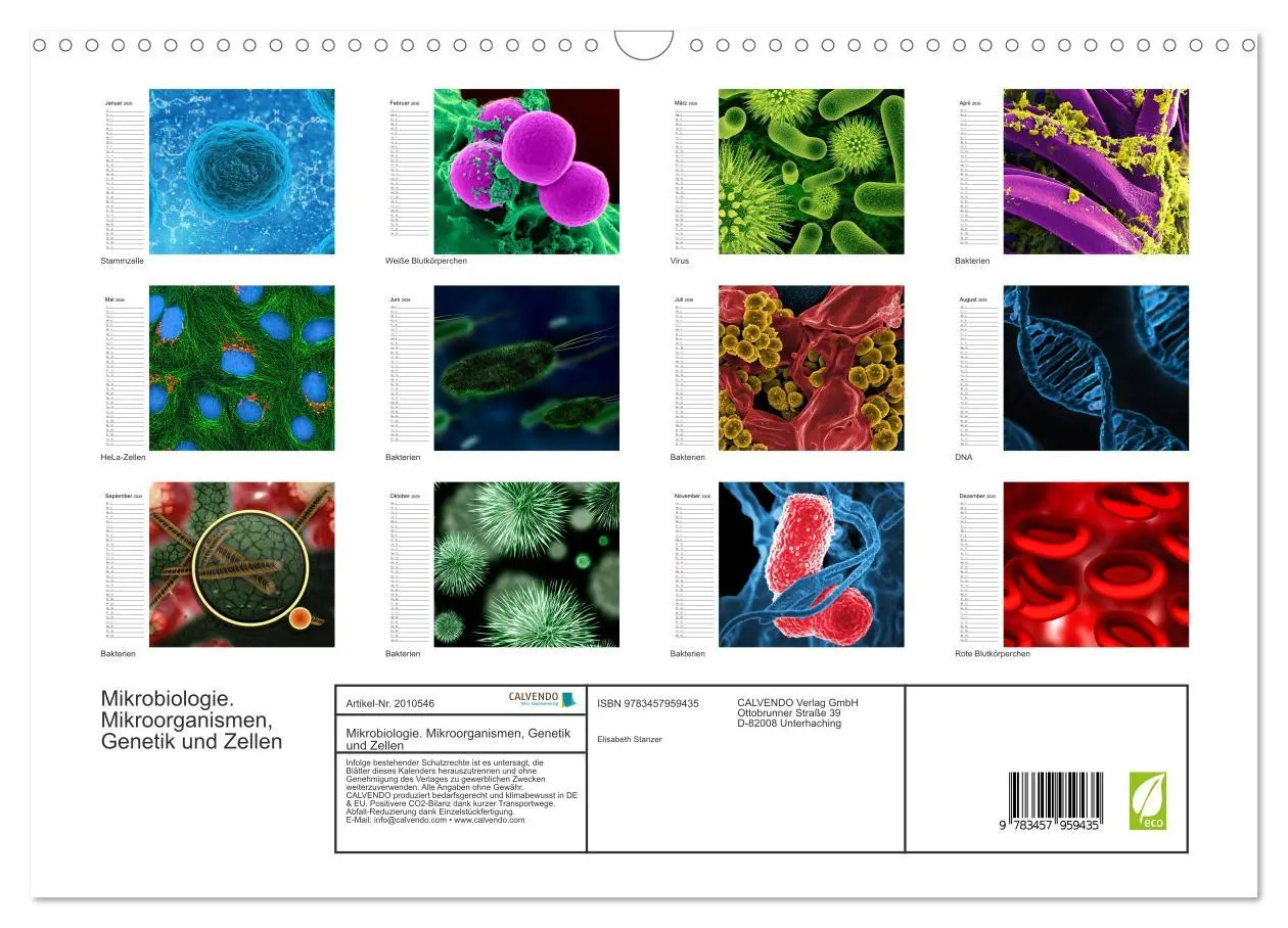 Bild: 9783457959435 | Mikrobiologie. Mikroorganismen, Genetik und Zellen (Wandkalender...