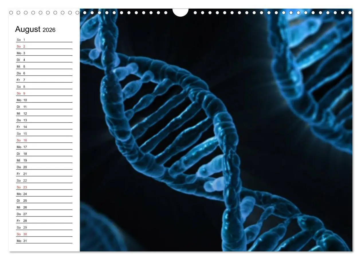 Bild: 9783457959435 | Mikrobiologie. Mikroorganismen, Genetik und Zellen (Wandkalender...
