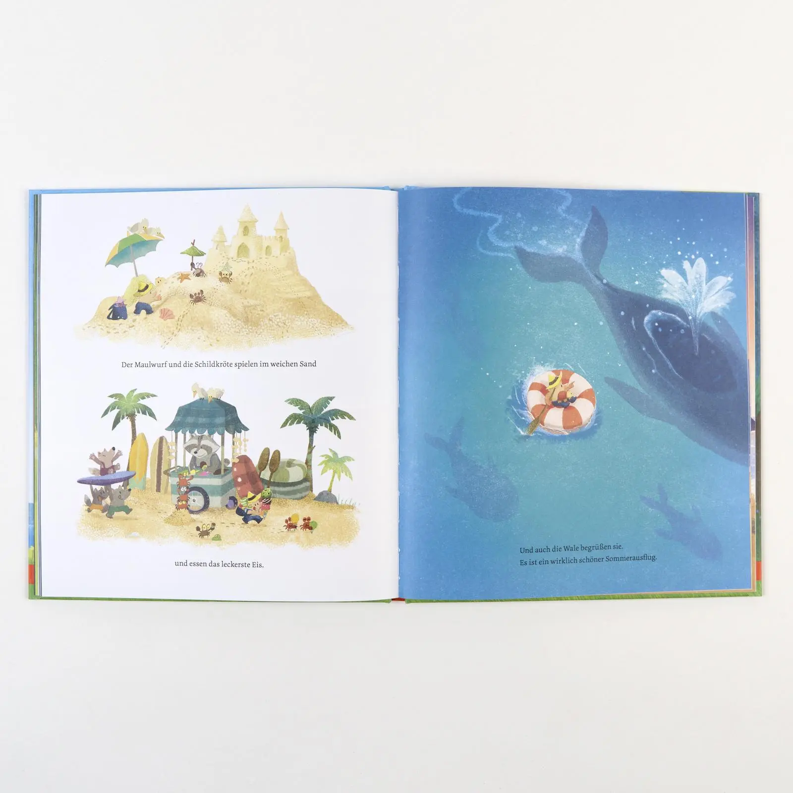 Bild: 9783407759535 | Der Maulwurf sucht das Meer | Vierfarbiges Bilderbuch | Sang-Keun Kim