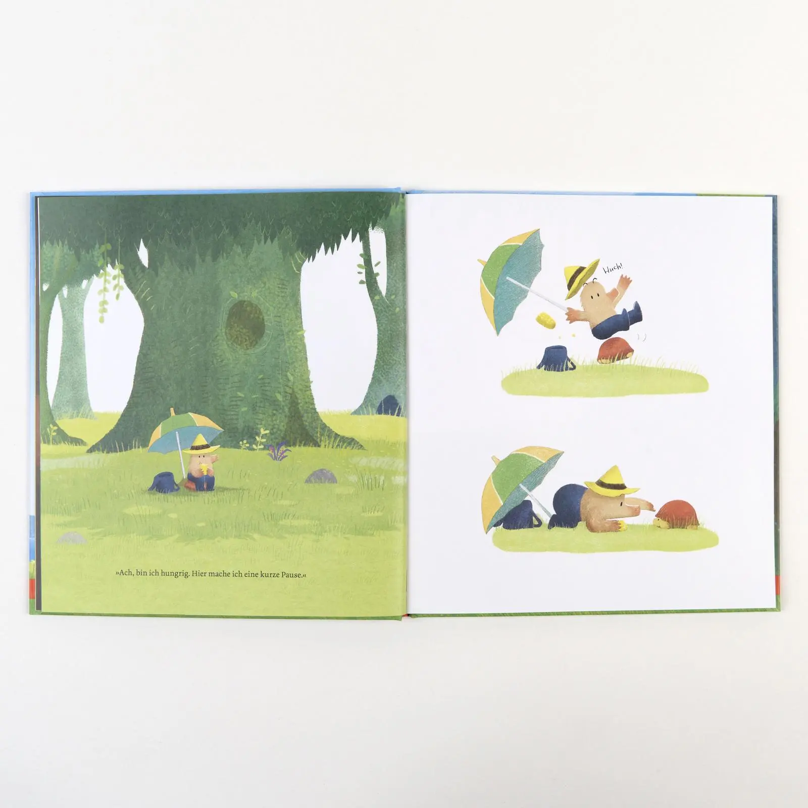 Bild: 9783407759535 | Der Maulwurf sucht das Meer | Vierfarbiges Bilderbuch | Sang-Keun Kim
