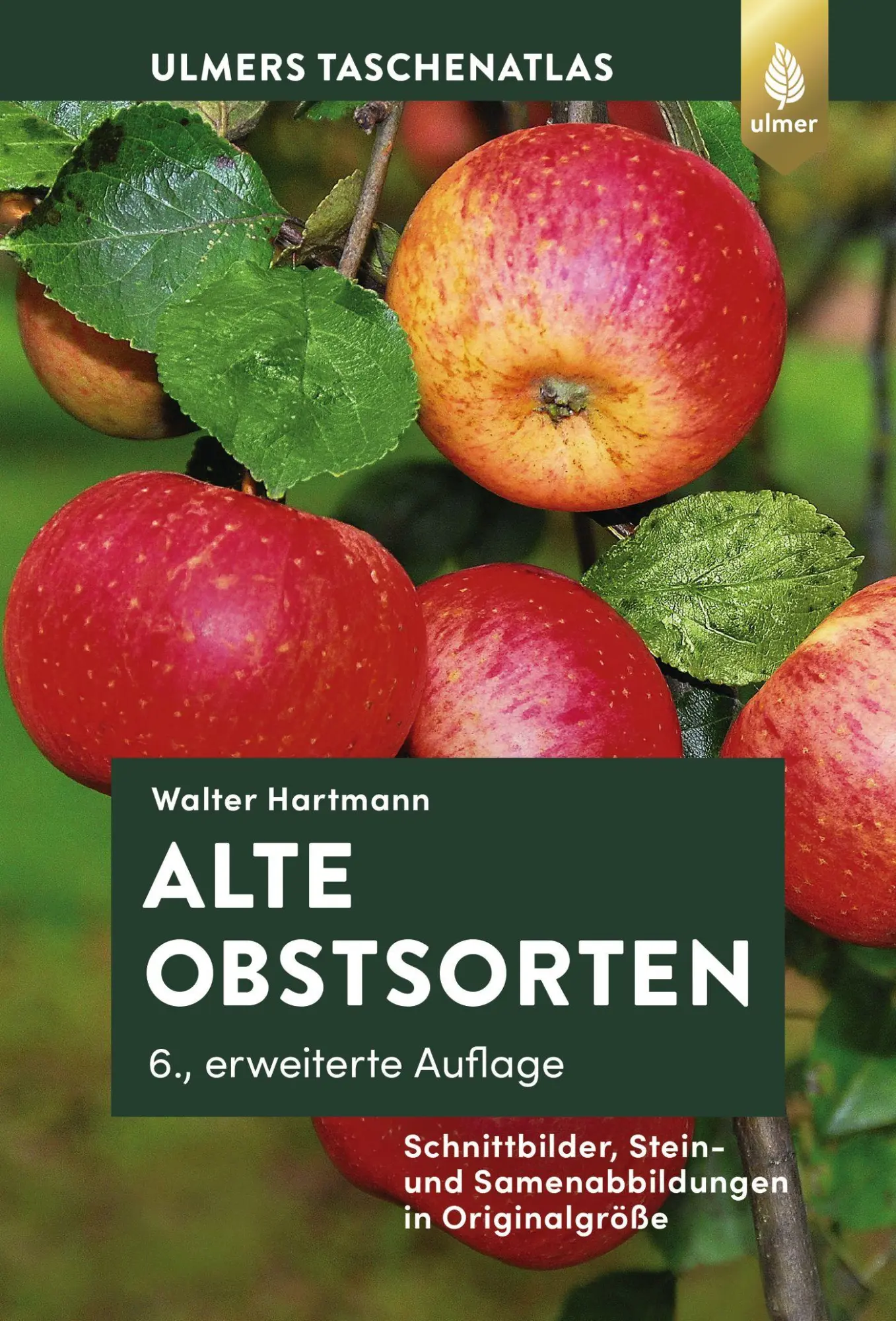 Cover: 9783818609535 | Alte Obstsorten | Walter Hartmann | Buch | 352 S. | Deutsch | 2020