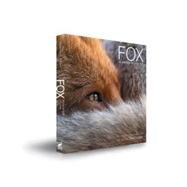 Cover: 9780956819635 | Fox | Neighbour Villain Icon | Andy Parkinson (u. a.) | Buch | 2022