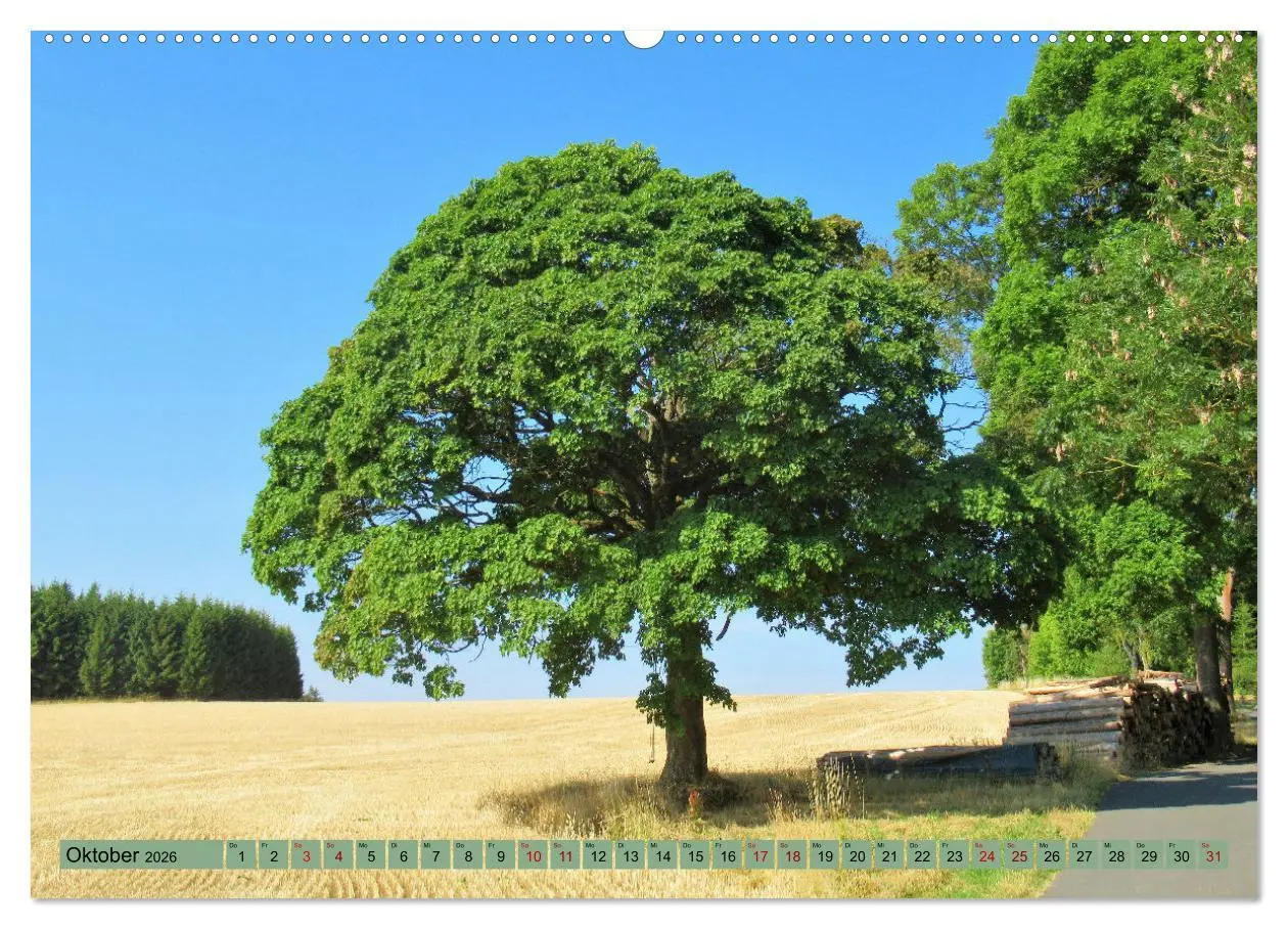 Bild: 9783457559635 | Frankenwald - Wandern in Oberfranken und Thüringen (Wandkalender...