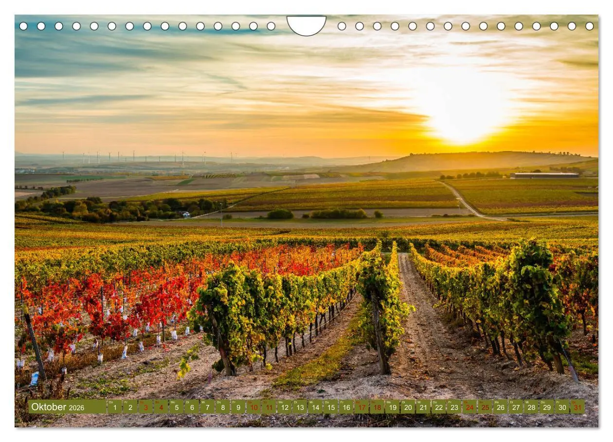 Bild: 9783457869635 | Rheinhessen-Impressionen (Wandkalender 2026 DIN A4 quer), CALVENDO...